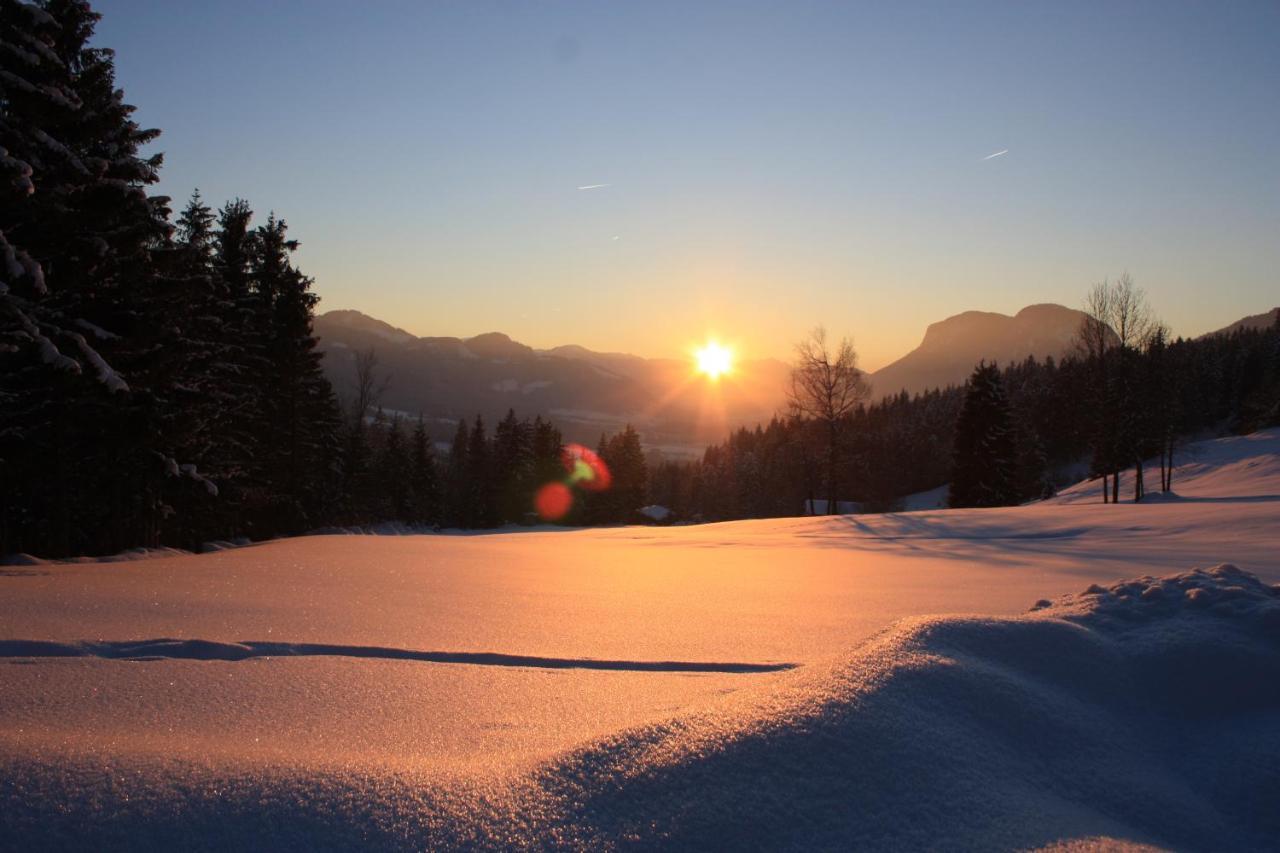 Boutique-Pension Jaegerwirt Scheffau am Wilden Kaiser Zewnętrze zdjęcie